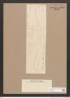 Toxonidea sp. (de-Toni-Nr.: Genus 16) Zeichnungen Sammlung Grunow Nr. 2239 (NHMW-BOT-W0369334)